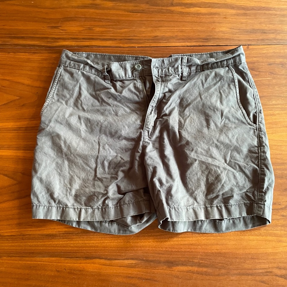 Patagonia Shorts